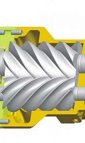 Compressor tipo parafuso Compressor tipo parafuso