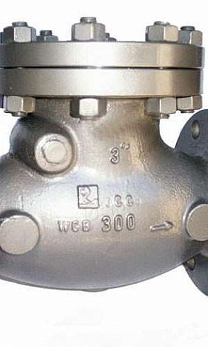 Válvula de retenção waffer fofo Válvula de retenção waffer fofo